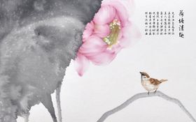中式荷花