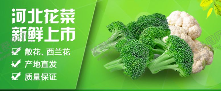 编号：64839109240601120578【酷图网】源文件下载-生鲜电商banner