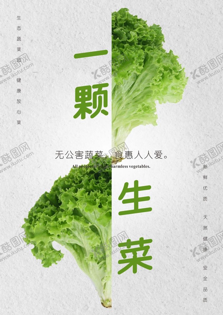 编号：38437010300725097897【酷图网】源文件下载-生菜