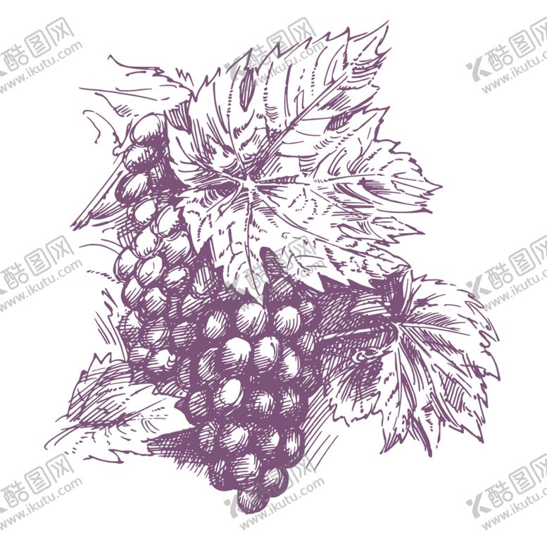 编号：78914510280752165958【酷图网】源文件下载-水果