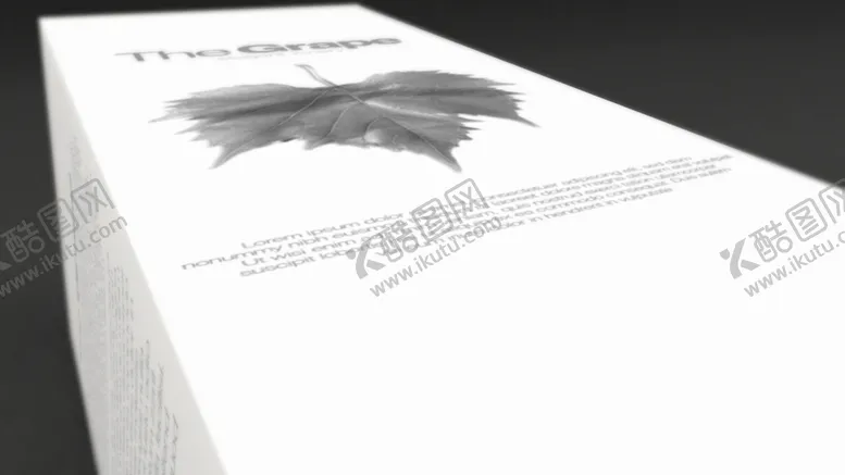 编号：57500102050316349919【酷图网】源文件下载-葡萄酒盒子品牌VI样机