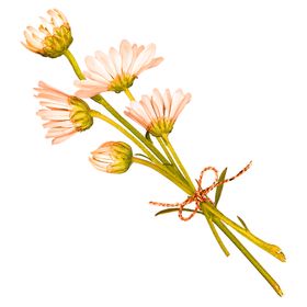 鲜花装饰