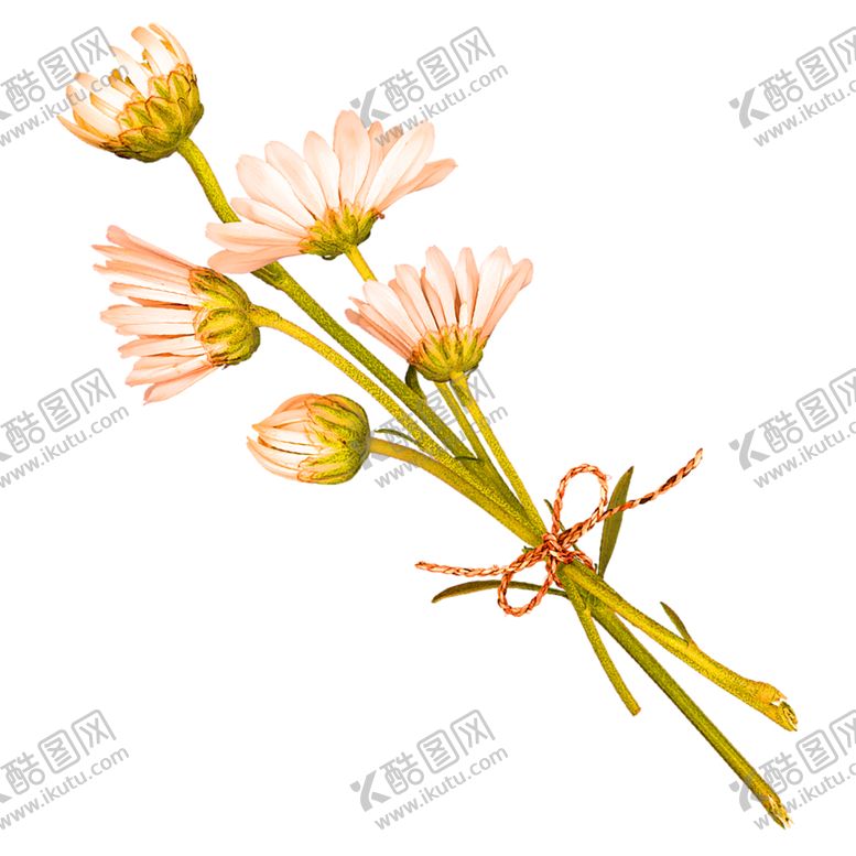 编号：84458105100916115394【酷图网】源文件下载-鲜花装饰