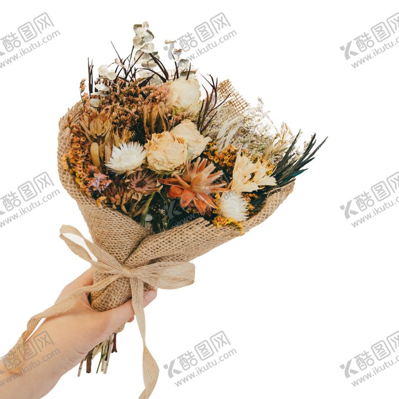 编号：12454610021352203485【酷图网】源文件下载-免抠背景干花枯花
