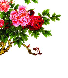 水墨菊花