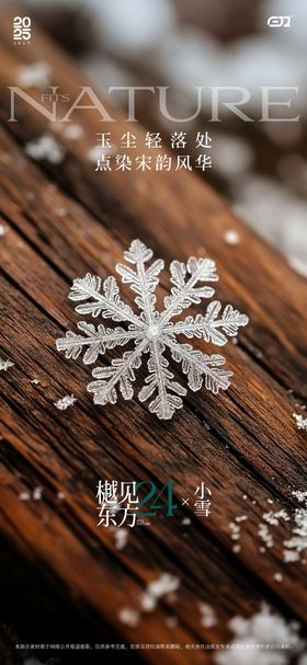 小雪节气单图海报
