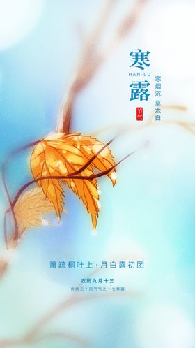 寒露海报