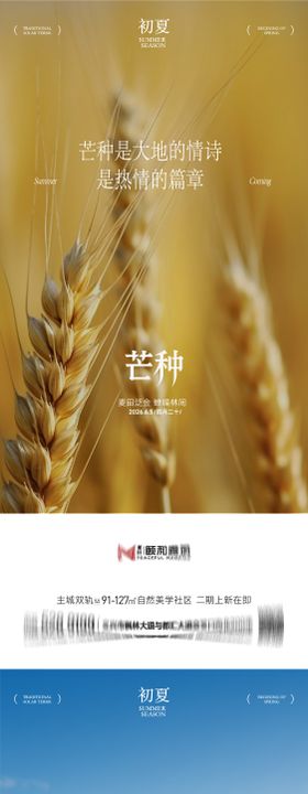 芒种二十四节气节日海报麦芒麦田