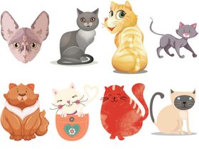 卡通猫