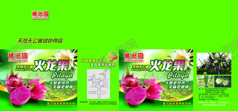 编号：80724310271859099333【酷图网】源文件下载-火龙果细箱