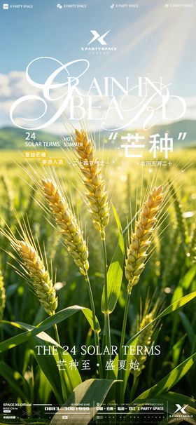 芒种海报