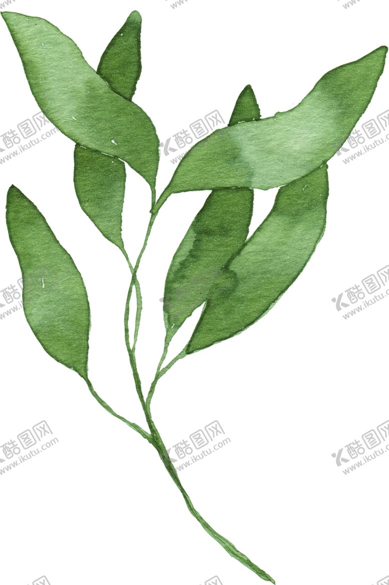 编号：93299907091321027681【酷图网】源文件下载-绿色相框