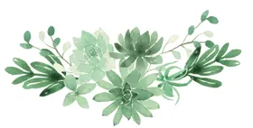 手绘花卉清新树枝婚宴请柬森系纹