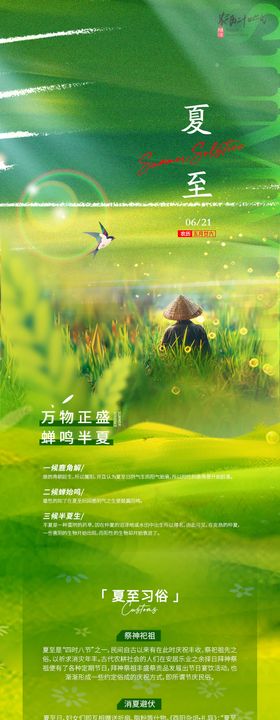 夏至海报长图