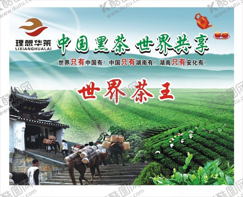 编号：50284602261920418252【酷图网】源文件下载-理想华莱黑茶