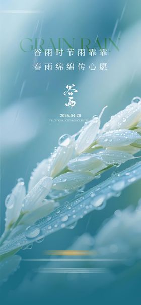 谷雨节气质感海报