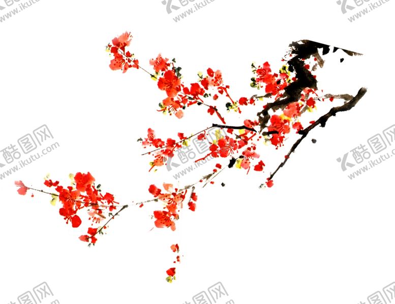 编号：80325707041828096525【酷图网】源文件下载-梅花