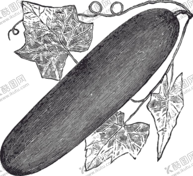 编号：29182710011903468164【酷图网】源文件下载-素描手绘蔬菜