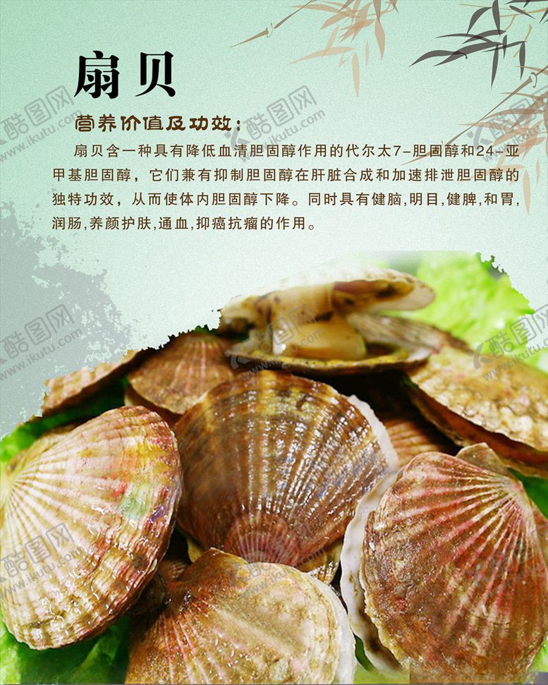 编号：68741709301822421359【酷图网】源文件下载-扇贝