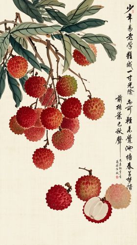水墨画荔枝