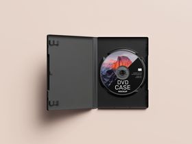 dvd光盘样机