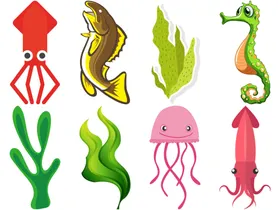海洋生物底草鲜