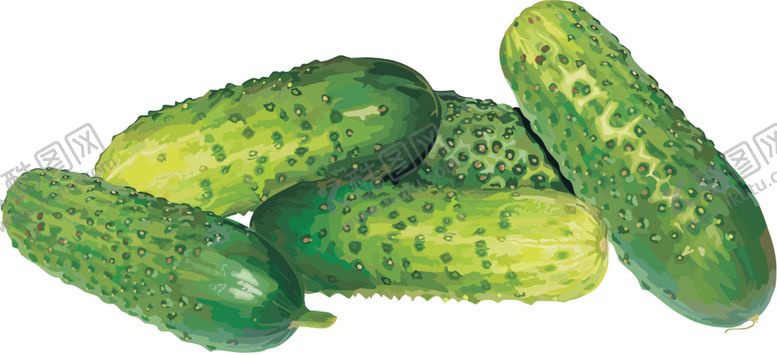编号：38705109160209412460【酷图网】源文件下载-透明黄瓜png素材