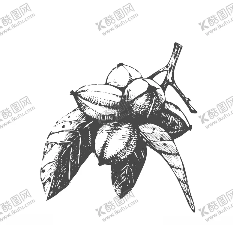 编号：58239609121202327127【酷图网】源文件下载-水果