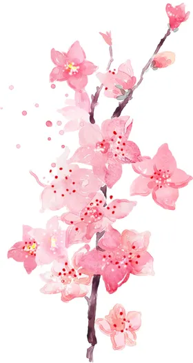 梅花桃花PNG工艺插画中国风传统文化樱