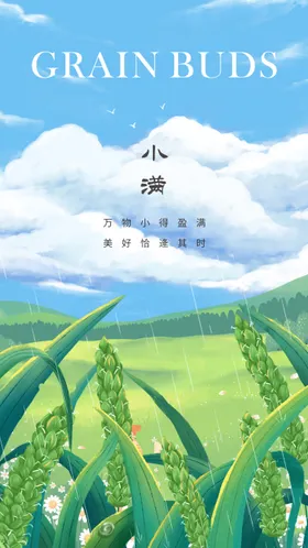 小满节气海报天空二十四麦田麦
