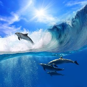 海洋背景