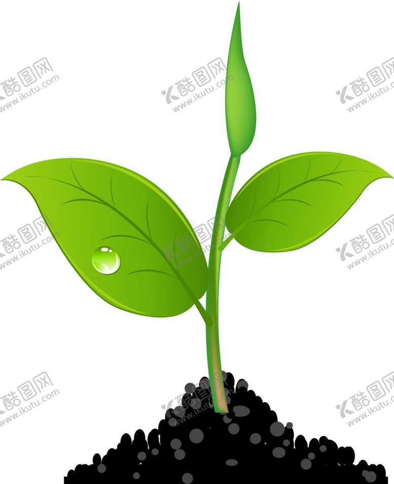 编号：33572210220754214845【酷图网】源文件下载-绿色相框
