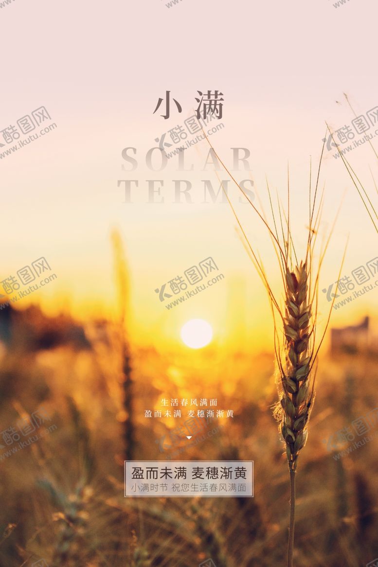 编号：10805809290853288527【酷图网】源文件下载-小满节气海报