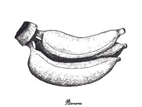素描水果