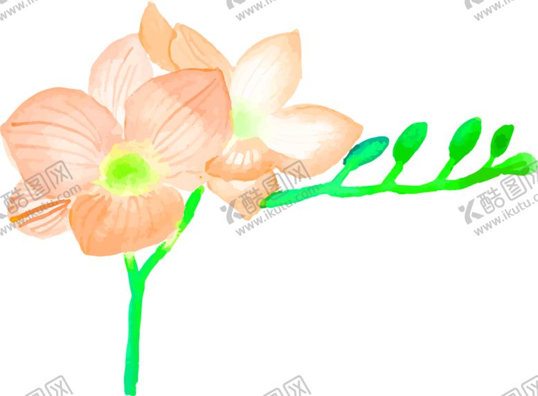 编号：79682510282221578913【酷图网】源文件下载-花素材