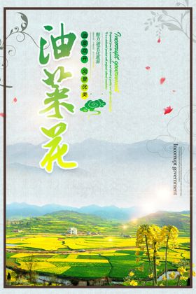 油菜花