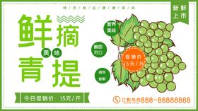 青提茉莉海报