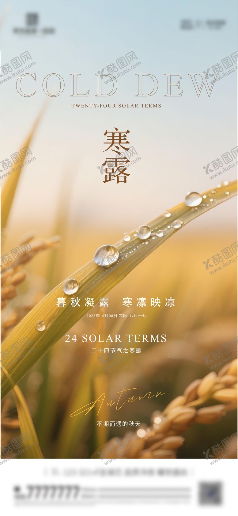 编号：82805809261538308644【酷图网】源文件下载-寒露节气海报