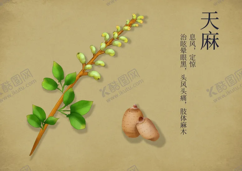 编号：20307702260312575217【酷图网】源文件下载-药材图谱