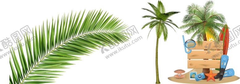 编号：83164910101951388253【酷图网】源文件下载-棕榈png免扣高清素材