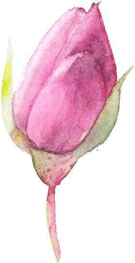 花卉