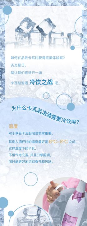 冰爽一夏长图海报