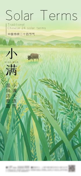 小满节气海报大寒立冬秋分