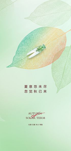 处暑节气宣传