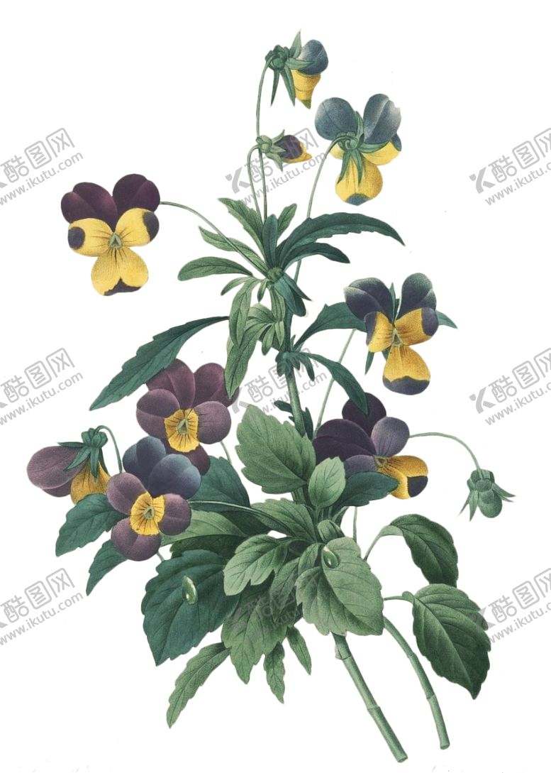 编号：93576209131517246413【酷图网】源文件下载-复古花