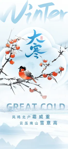 大寒海报
