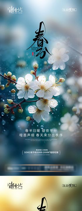 春分节气系列海报