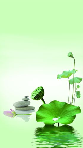 国画荷花