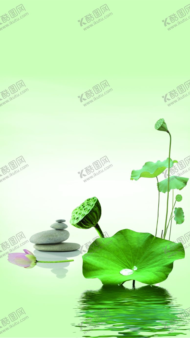 编号：58644005040951098587【酷图网】源文件下载-国画荷花