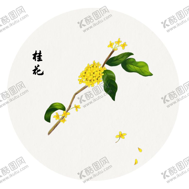 编号：87816101190939062927【酷图网】源文件下载-手绘桂花png免抠素材